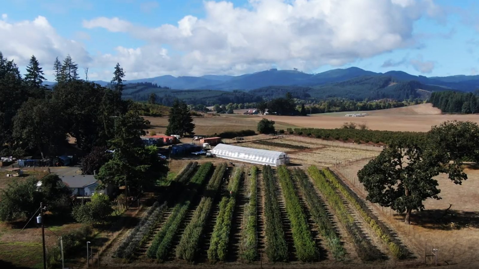 Aerial Coverage — Oregon Dreams Aerial Video