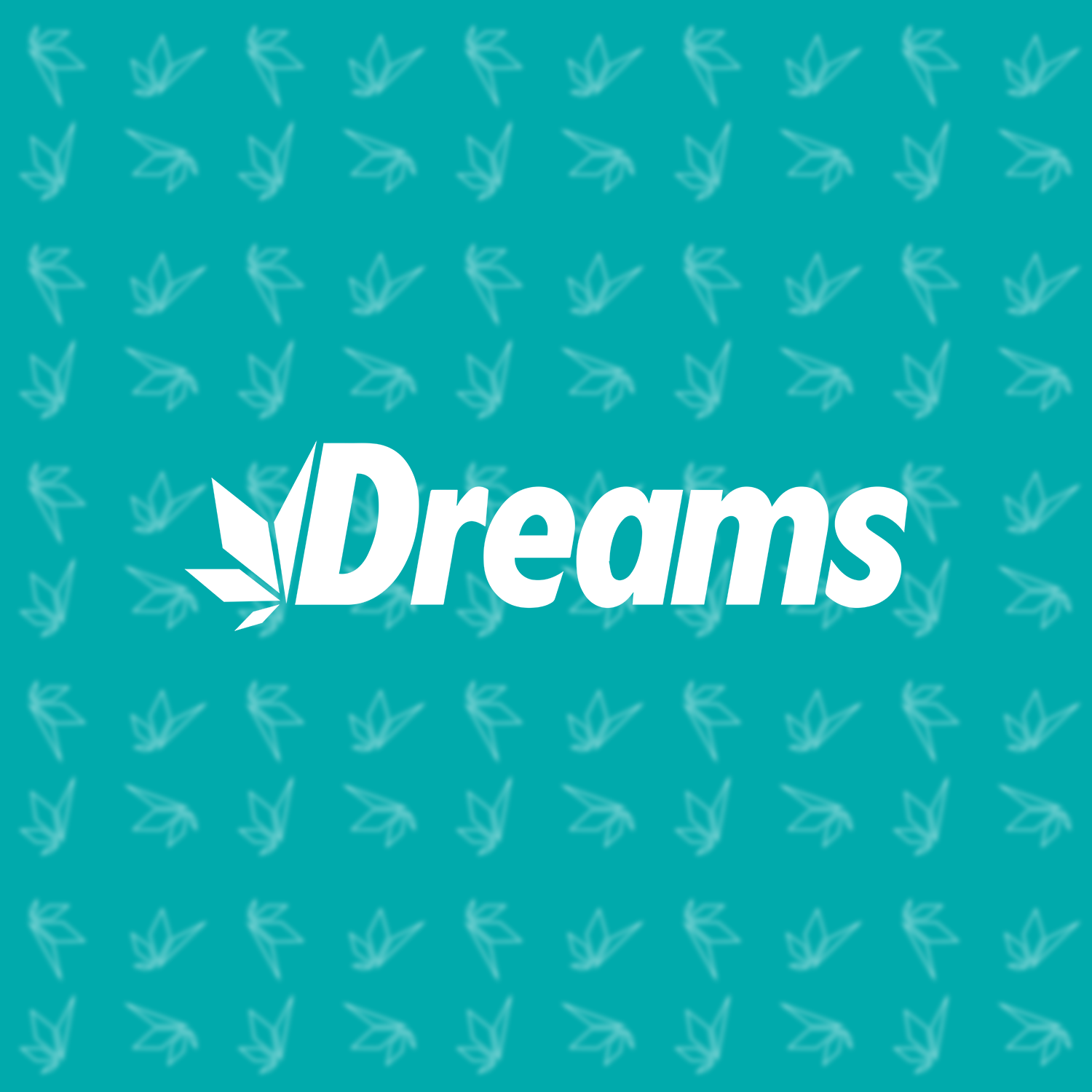 Branding, Web Design & Marketing — Dreams Dispensary